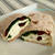 お勧め！スターバックスのほうれん草とフェタチーズのラップのレシピ Starbucks Spinach and Feta Wrap