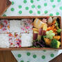 先週掲載してなかったパパ弁当②