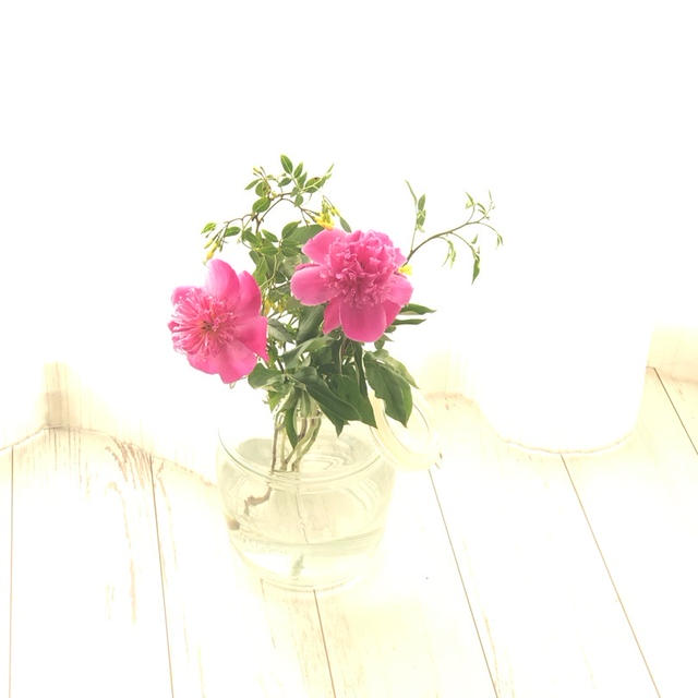 母の命日は花盛り。。。