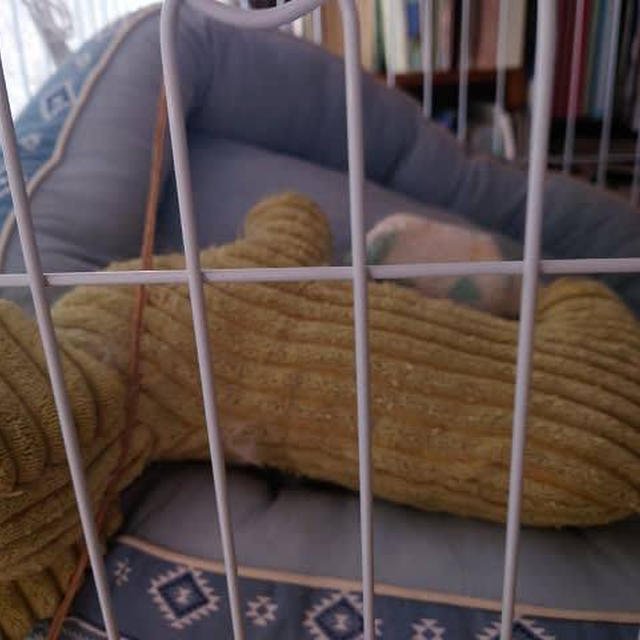 ベッドの下で寝るオトコ…