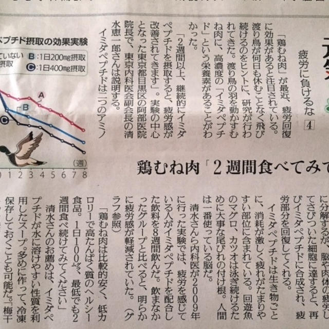 朗報！！！鶏胸肉に疲労回復効果が！！！