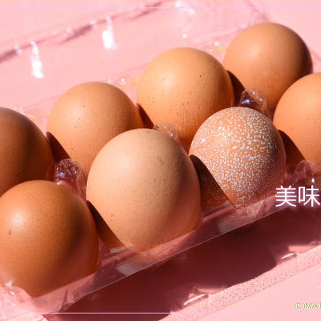 美味しい卵