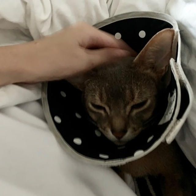 3歳の朝