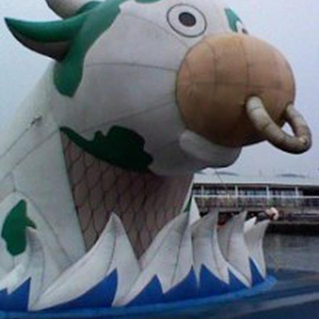 今日も暑いっすねー
