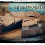Gateau Chocolat Fondu