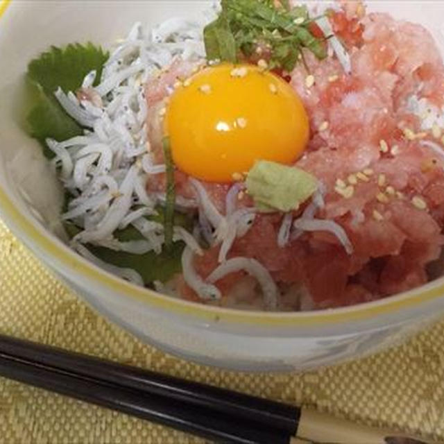 ネギトロしらす丼・１５分で出来る簡単スピードメニュー