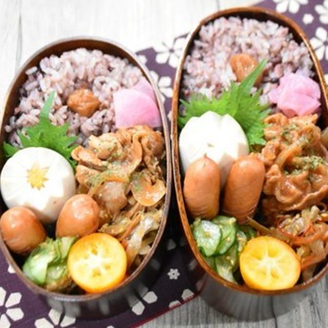 【毎日のお弁当】3/20～3/24