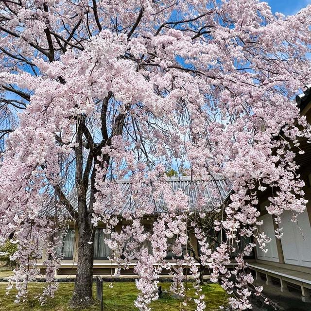 春満喫のぷち旅より…帰宅しました。