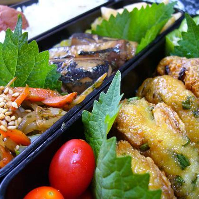 豆腐ハンバーグ弁当～☆