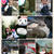 王子動物園☆(*^^*)