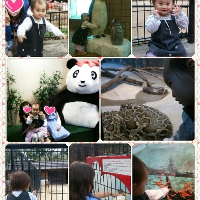 王子動物園☆(*^^*)