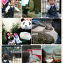 王子動物園☆(*^^*)