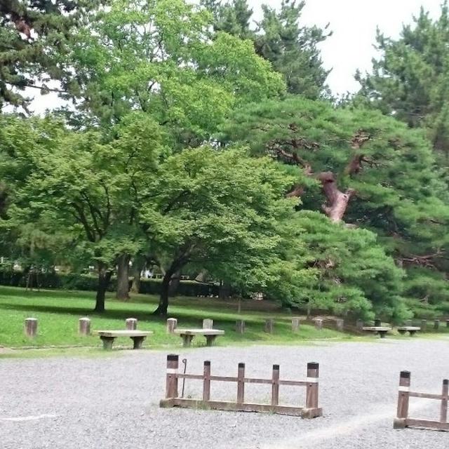 京都御所とあじさいコンサート