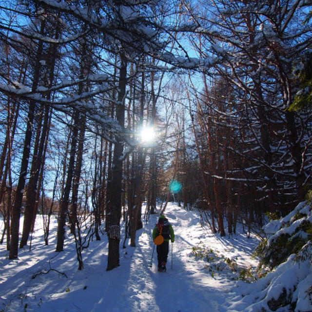 2013年シメの登山と旅行☆入笠山