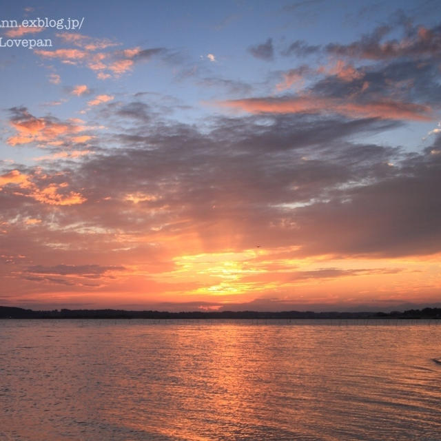 涸沼の夕景