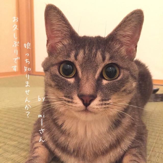 久しぶりのｍｉーさん＊