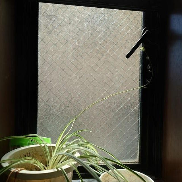 オリヅルランの花