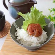 楽天グルメ・白いご飯と梅干しで大満足のランチ