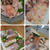 男の魚料理とそっくりさん