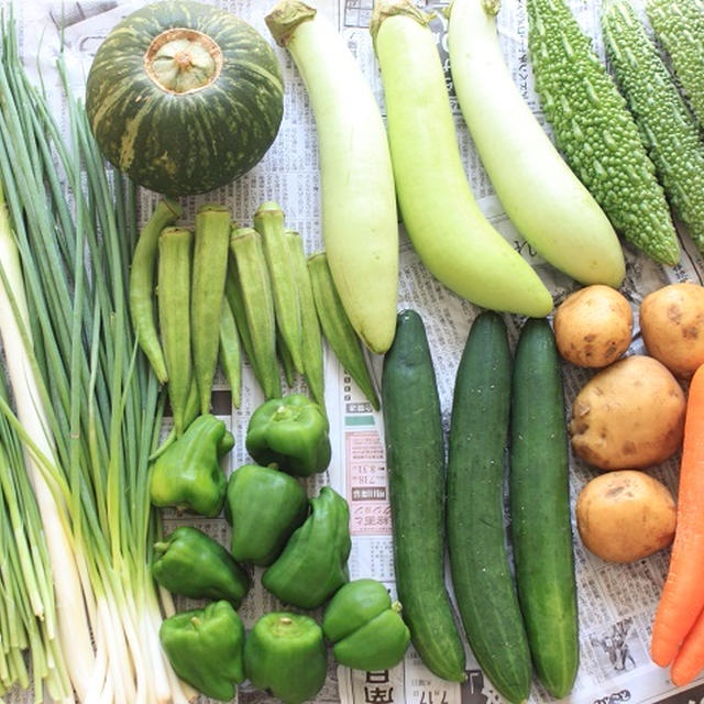 さつま自然村 野菜セット(かごんまセット)が到着しました♪