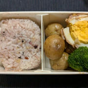 わたしのお弁当　〜ゆで卵の肉巻き〜