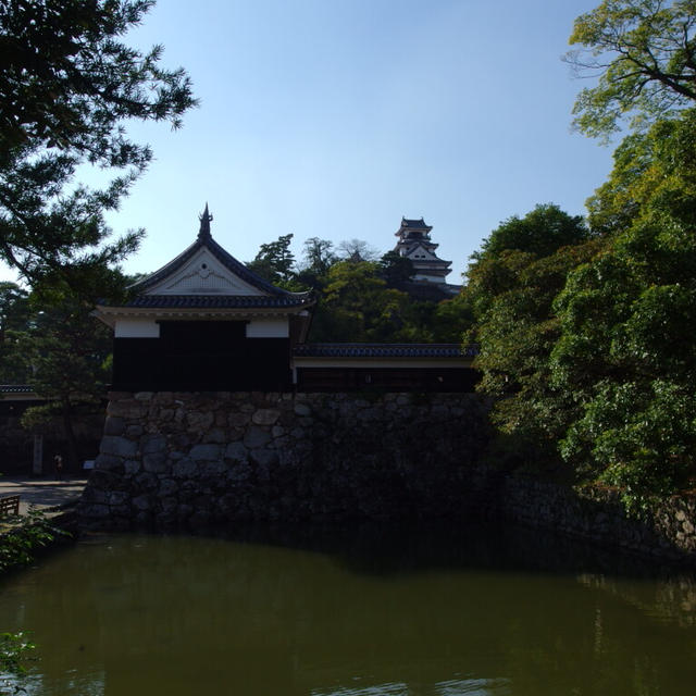 阿波から土佐へ初づくし ～四国の未知へいざ行かん 3日目 ③～