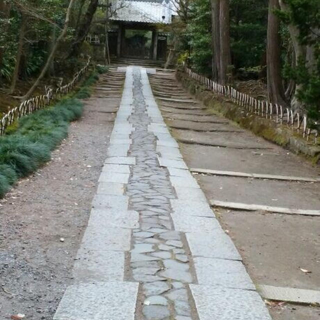 昨日は、お施餓鬼に行って来ました。