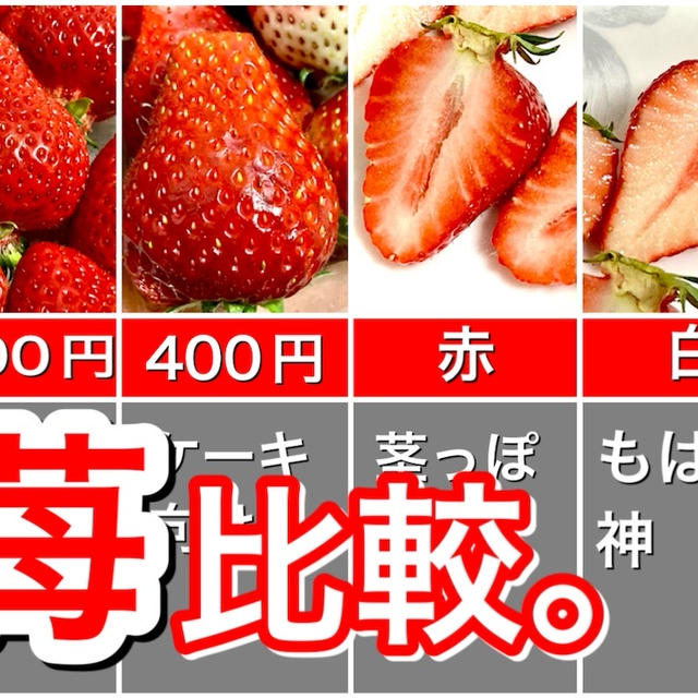 【イチゴ食べ比べ】「あまおう」「とちおとめ」を食べ比べ！味や特徴に違いはある？
