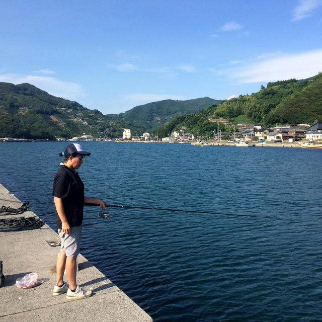カマスがたくさん釣れました！～三瓶・有網代(あらじろ)の波止での釣果・Part1～