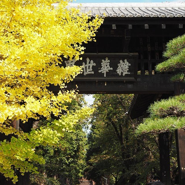 秋旅～甲府、石和温泉～　恵林寺♪④