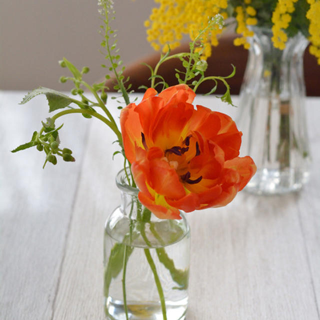 花が花を呼ぶ？我が家のお花事情。【お花の定期便】