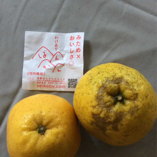 晩柑