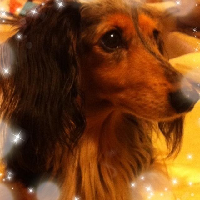 今日の1枚☆