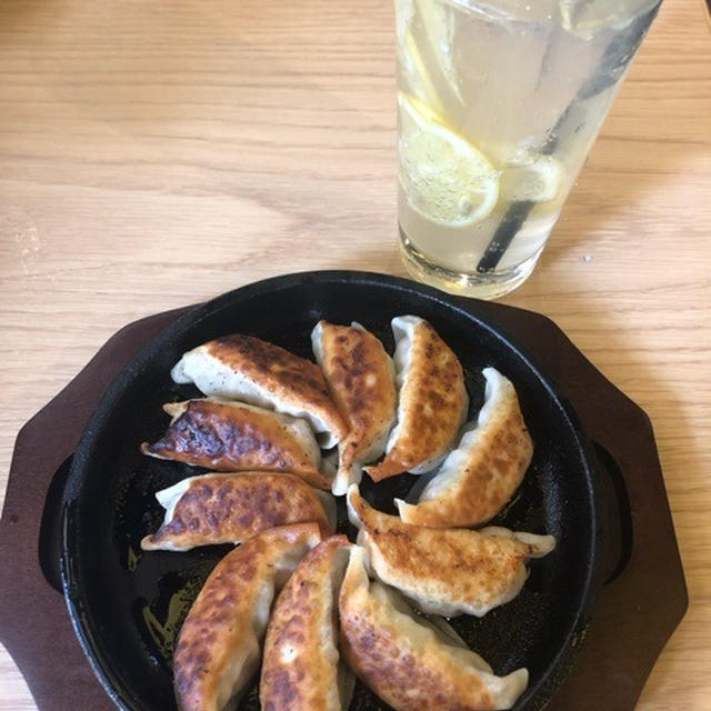 渋谷 3・6・5酒場 本日から鉄鍋餃子1000鍋無料 生ビール1000杯まで19円