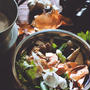 Vegetable Soup