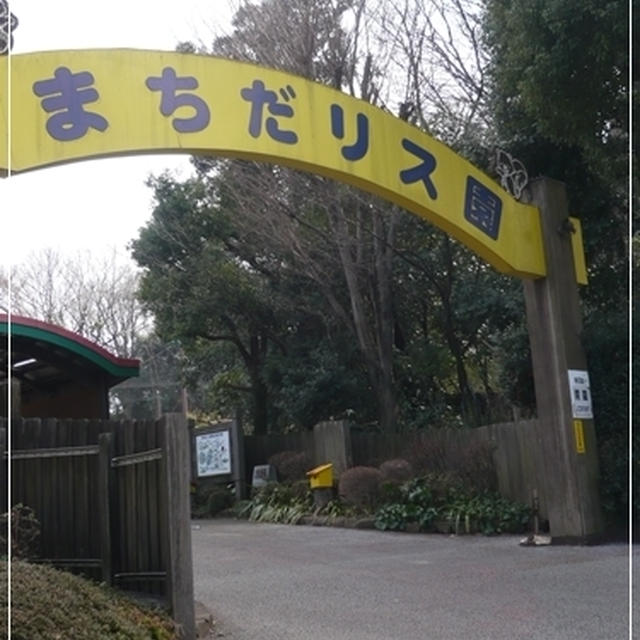 リス園へお出掛け♪