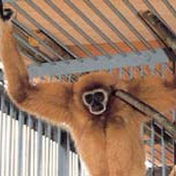 福知山動物園