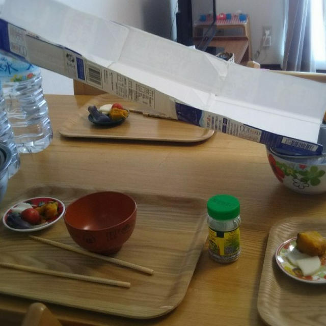 まん丸ちゃん6歳の夏休みの記録