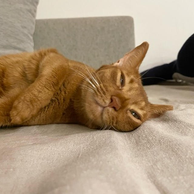 甘え過ぎひめちゃん、やっと落ち着いた