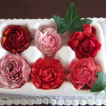 春の花