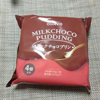 オハヨー乳業　ミルクチョコプリン