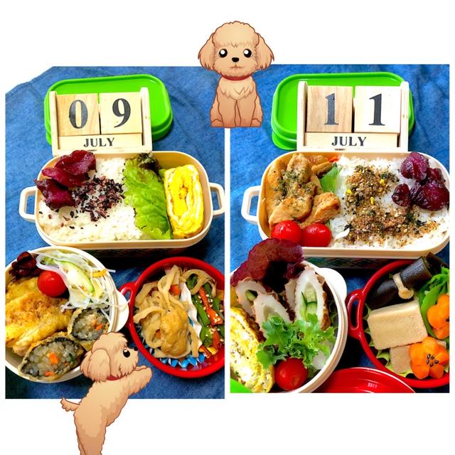先日と昨日のお弁当