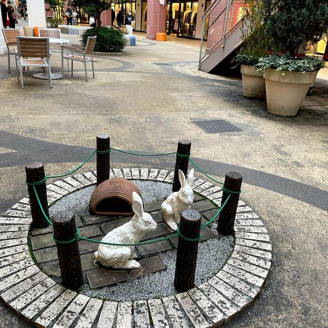入間なう