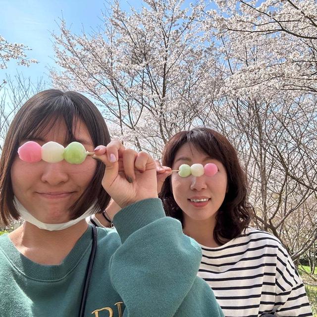 お花見❤️お花見