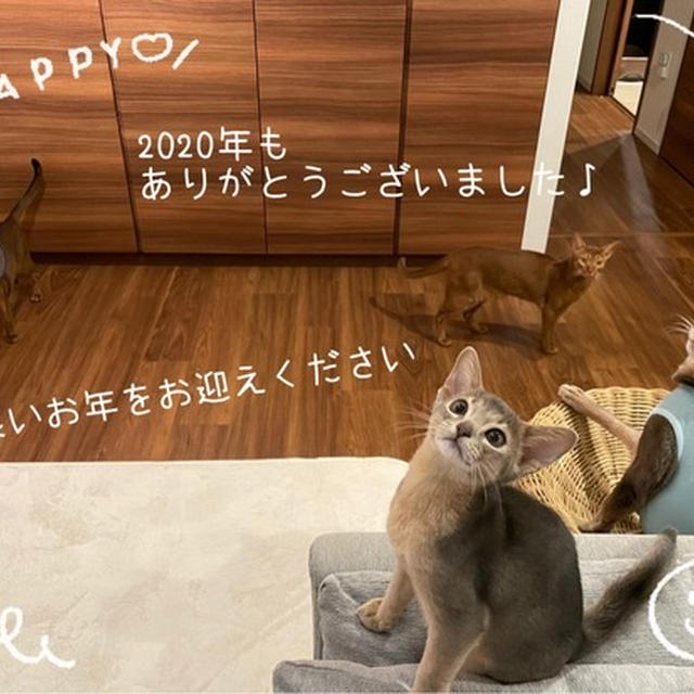 2020年もお世話になりました