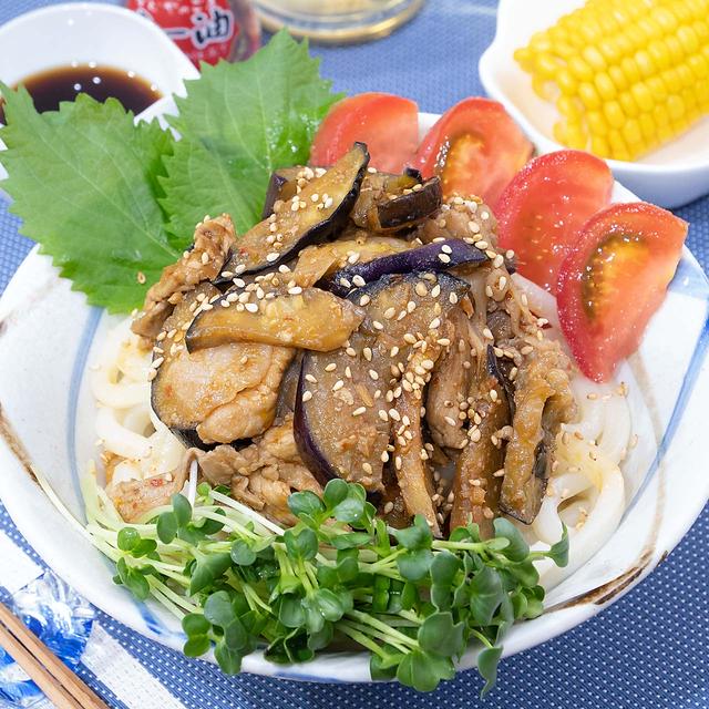 ピリ辛コク旨❣️ナスと豚こまの肉うどん