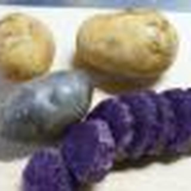 珍しい？　紫色のジャガイモ。