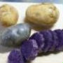珍しい？　紫色のジャガイモ。