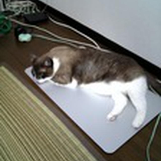 ねと〜る