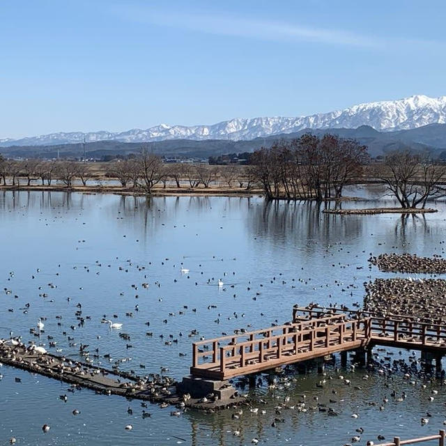 瓢湖
